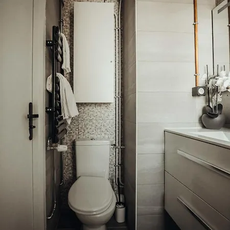 Sporting Furnished Flat Apartment